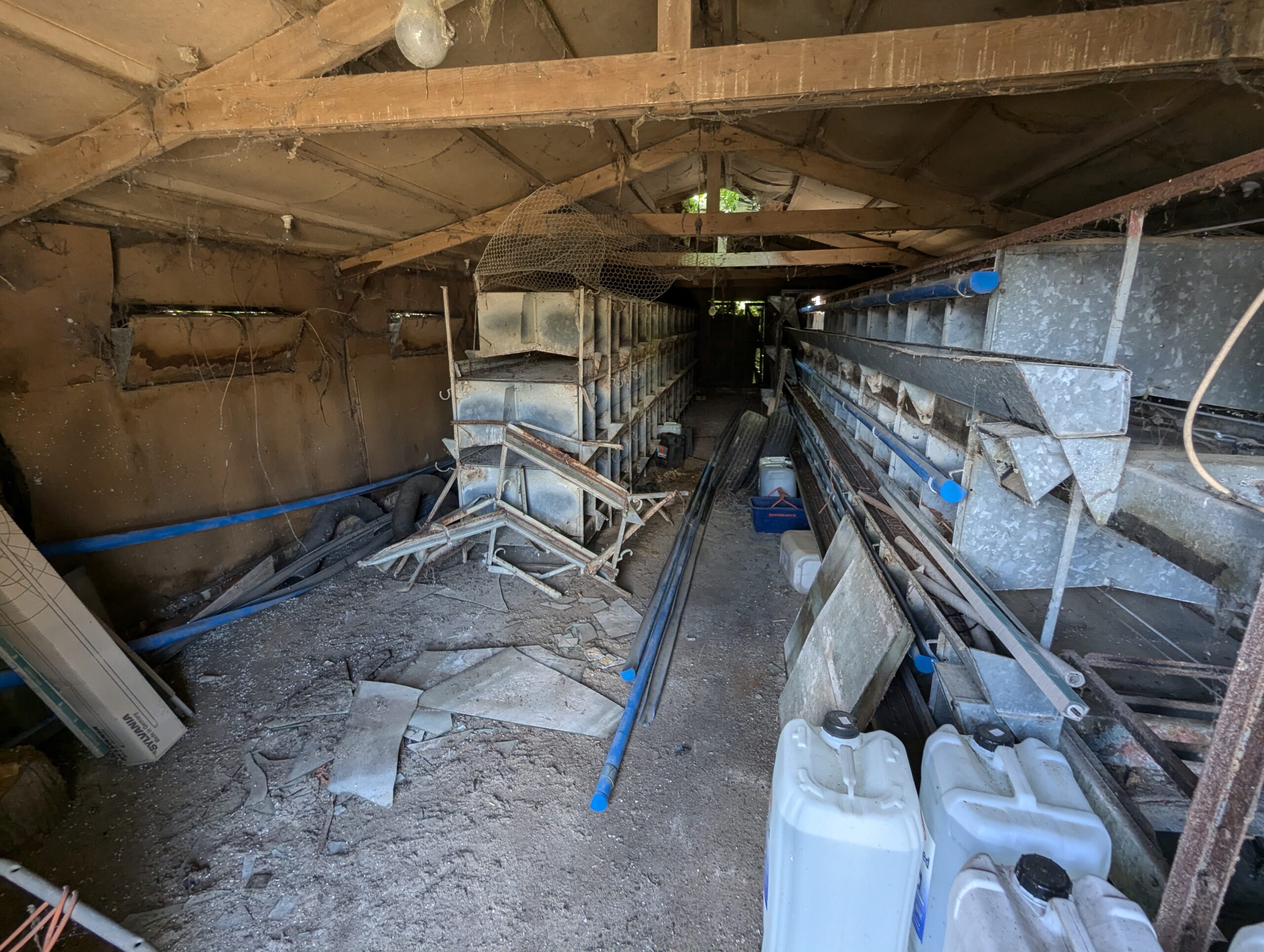 Clearing out the chicken cages